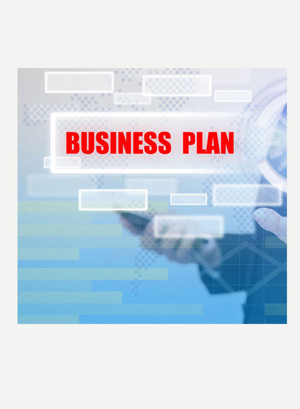 Custom NEMT Business Plan